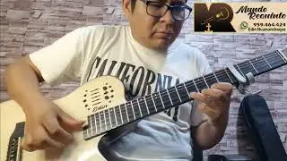 Cover. Hay que triste hab&iacute;a sido. Himno AEMINPU. Requinto