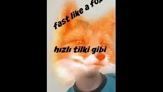 Fast like a fox -   hızlı tilki gibi olmak !!!!!