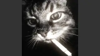 fireboss