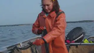 Understanding the environmental labels on your seafood in Canada