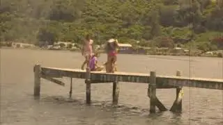 A Summer Idyll