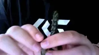 Review of The Strike King Baby Rage Craw