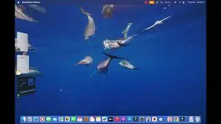 Как открыть недавно закрытые вкладки в Safari