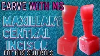 Carving Maxillary Central Incisor | Step by step | With Proper Instructions |