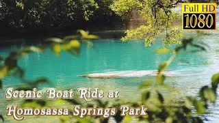 Scenic River Boat Tour at Homosassa Springs Wildlife State Park POV Video - Full Experience