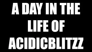 A Day in the Life of AciDicBliTzz