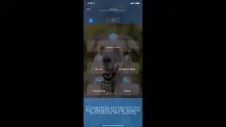 SpotOn Virtual Fence - Bluetooth vs Connectivity