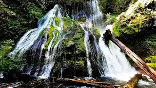 🔊 Panther Creek Falls | The Sound Cathedral of the Pacific Northwest
