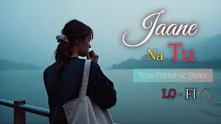 Jaane Na Tu – LoFi Love Vibes | Soft Rain • Slow Romantic Beat (New Release)