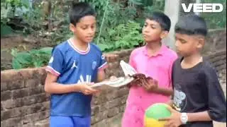 Reel #8 | George Mesjer -6 CSavio Sinish - 6 GSreehari PB - 6 DAsher JohnPaul - 6 BNiranjan K S - 6E