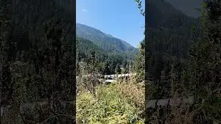 #kasol #kasoldiaries #kasolvibes #kasolvlog #pulga #nature #kulluvalley #wildlife