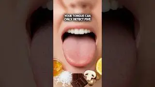 Can You Actually Taste With Your Nose?