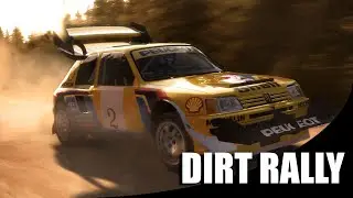 Almost Real! | Dirt Rally Gameplay Footage