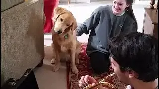 Winston meets a trumpet for the first time