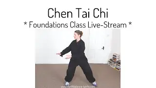 Chen Tai Chi Foundations / Jibengong Class Live Stream Time-Lapse