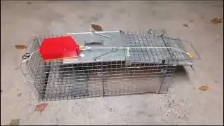 Application - Swing door trap cage