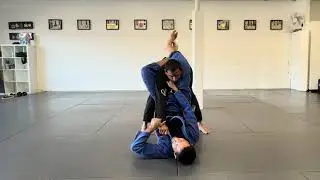 Week 7: Shallow Lasso to Omoplata