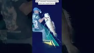 penyelamatan ana dan bapak kerapu #fishing #fish #mancing #mancingmania #macingdasaran #spotrawarawa