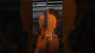 Violoncelo ANTONI Marsale HC110 I HPG Musical