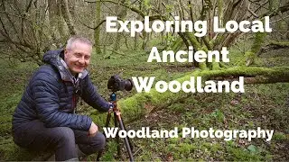 Exploring Local Ancient Woodland : Woodland Photography