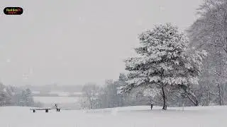 Wind Snow Sound Effect - Faal Ses Arşivi