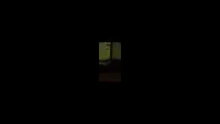 pug barking at nothing