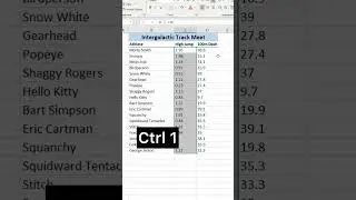 How to custom format numbers in excel 