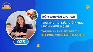 🐾 T&Ocirc;M CHUY&Ecirc;N GIA _ 0️⃣2️⃣3️⃣ | Boss khỏe &ndash; Sen vui!  | Healthy Pets - Happy Owners!