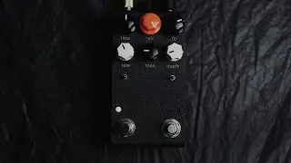 Analogworm ECHO 2