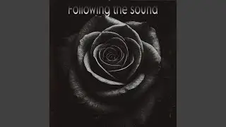 Following The Sound