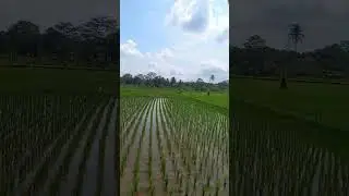 Prung ah sound sasak rajamandala,