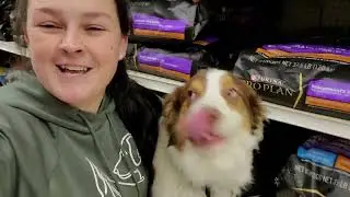 Let them sniff!