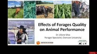 Forage Quality Impacts on Animal Performance
