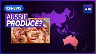 Is &lsquo;made in Australia&rsquo; food really made in Australia? | 7.30