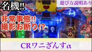 【CRワニざんすα】羽根モノ　撮影お断り⁉︎第14章