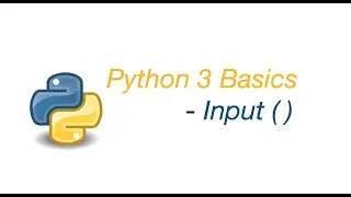 Input function in python