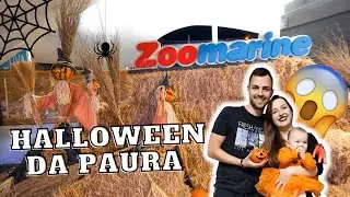 HALLOWEEN a ZOOMARINE! 🎃👻