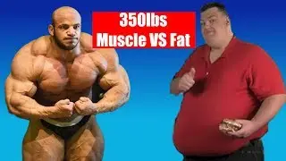 How Much Muscle is Too Much?