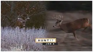 Making A Move With the Bow ALMOST Pays Off