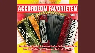 Steiner Polka