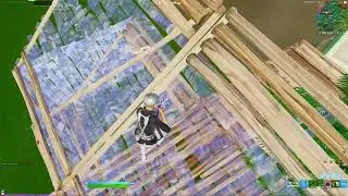 I went against my duo in solo arena... (ft. LewizFN)