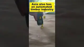 Timber Industry Automation in Asia