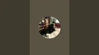 Chong the dog Bark talk featuring energy vampire talk