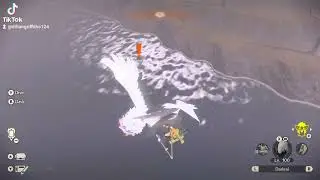 Found a shiny Wiscash