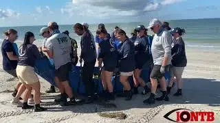 Manatee rescue in Redington Beach