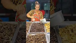 Fried Insect Street Food Cockchafer. #shorts #streetfood #Insects