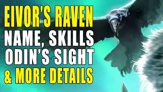 Assassin's Creed Valhalla Raven Companion | Synin's Name Meaning, Abilities, Odin's Sight & More