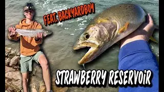 Strawberry Reservoir Shore Fishing (@BackyardBoyTV COLLAB)!!!!