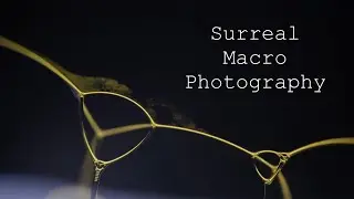 Natural lights, macro therapy. Liquids in macro. Relaxing atmosphere.