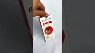 Antipulga Carrapato Bravecto C&atilde;es De 4,5 Kg A 10 Kg